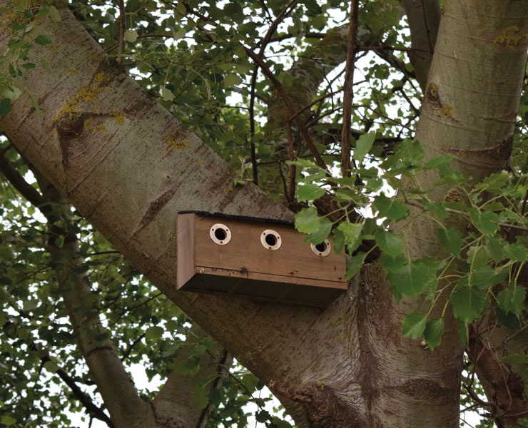 future-biogas-Why-biogas-bird-box-GrangeFarmEnergy