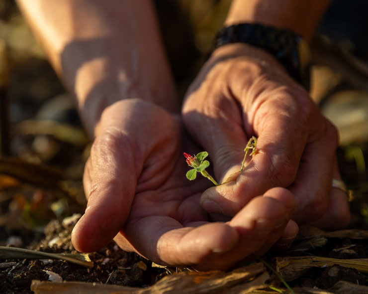 Responsible Sustainability | About Us | Future Biogas
