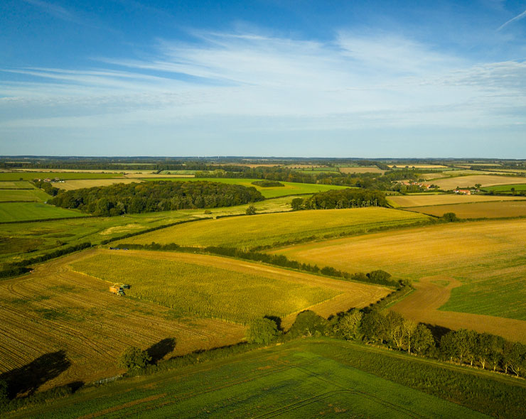 Rural Economies | Co-Benefits | Green Gas | Future Biogas