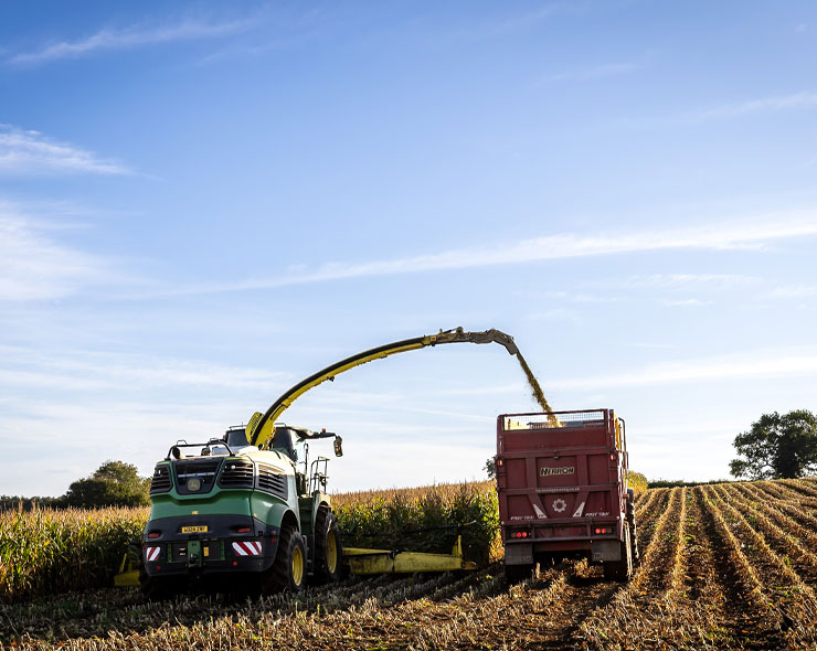 Growing for Us | Farming | Future Biogas