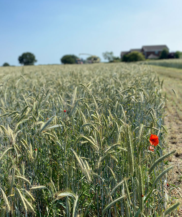 Research & Development | Farming | Future Biogas