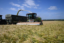 future-biogas-farming-sustainablecrops-barley