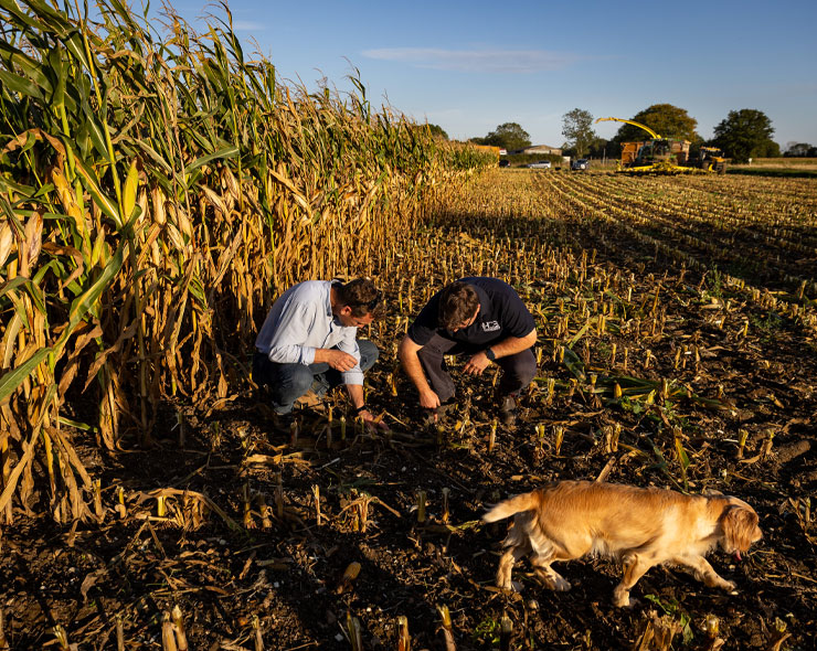The Farming Team | Farming | Future Biogas