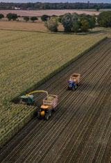 Case Studies | Green Gas | Future Biogas