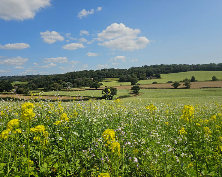 Biodiversity | Co-Benefits | Green Gas | Future Biogas