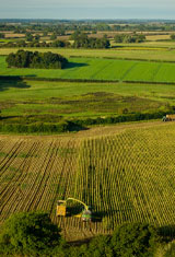 Rural Economies | Co-Benefits | Green Gas | Future Biogas