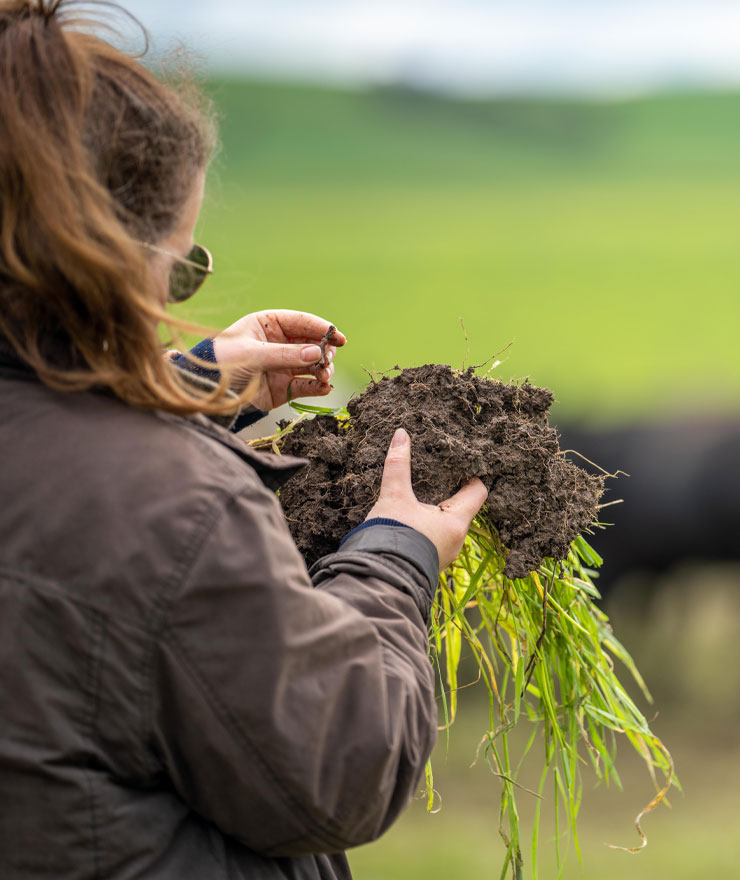 Soil Carbon | Co-Benefits | Green Gas | Future Biogas