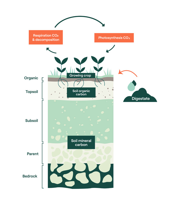 Soil Carbon | Co-Benefits | Green Gas | Future Biogas
