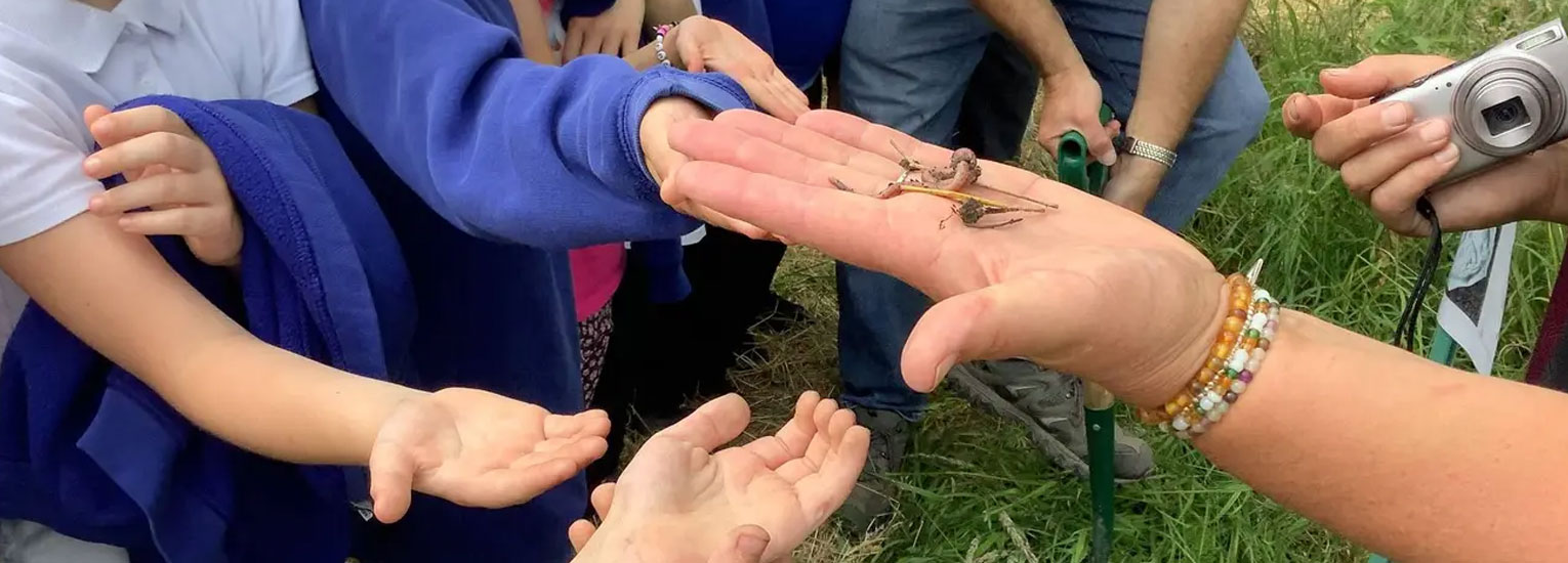 Future Biogas and the Country Trust | Communities | News & Research | Future Biogas Future Biogas and the Country Trust | Communities | News & Research | Future Biogas