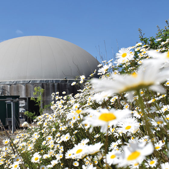 future-biogas-HomePage-GrangeFarm-biodiversity