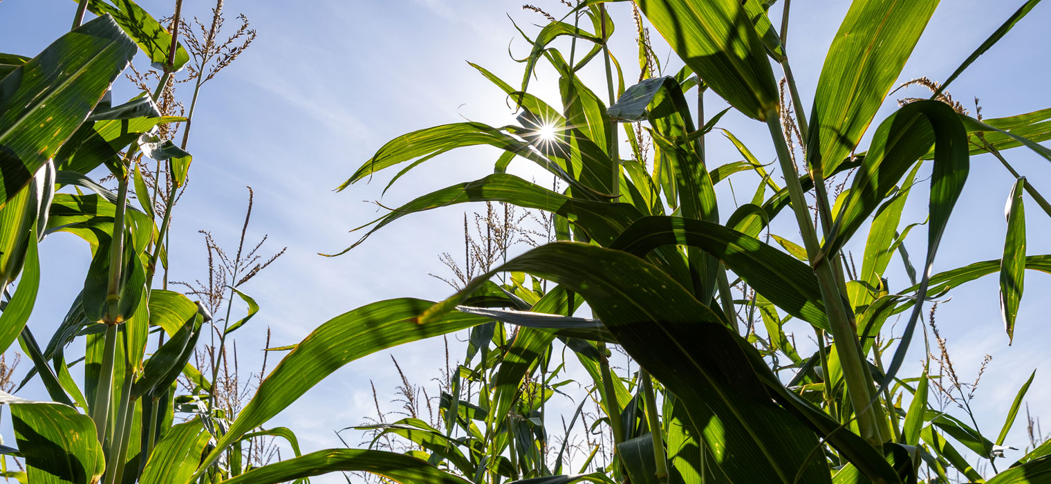 future-biogas-contact